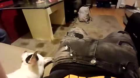 Snapshot of weloveeachothersrizz chatting on 5, 12, 2025 weloveeachothersrizz online show from 5, 12, 2025