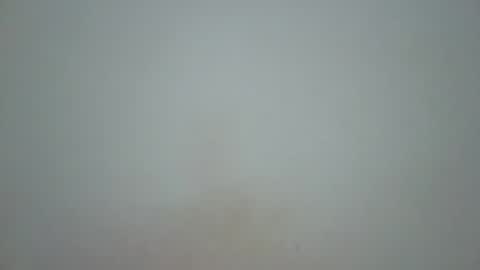 wet_pussieyy online show from 10, 11, 2025