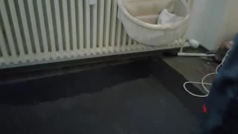 Snapshot of wetgerman2 chatting on 11, 3, 2025 Wetgerman online show from 11, 3, 2025