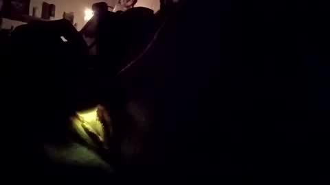 Snapshot of wetpixiepuss chatting on 27, 10, 2025 wetpixiepuss online show from 27, 10, 2025