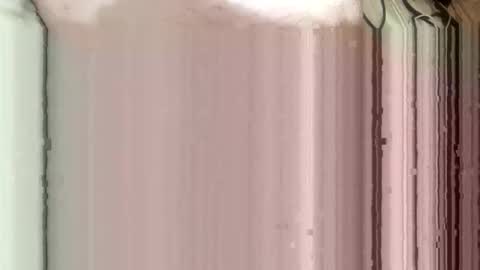 whispereddy online show from 9, 3, 2026