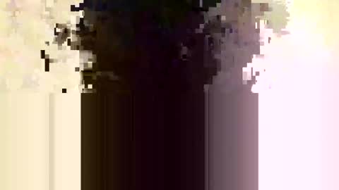 Snapshot of whitedood432 chatting on 28, 11, 2025 whitedood432 online show from 28, 11, 2025