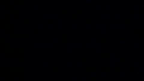 Snapshot of whitehead_lion chatting on 14, 1, 2026 whitehead_lion online show from 14, 1, 2026