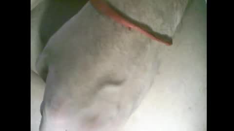 whitelines1991 online show from 6, 3, 2026