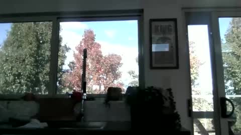 Snapshot of whitepantyman1973 chatting on 29, 4, 2026 whitepantyman1973 online show from 29, 4, 2026