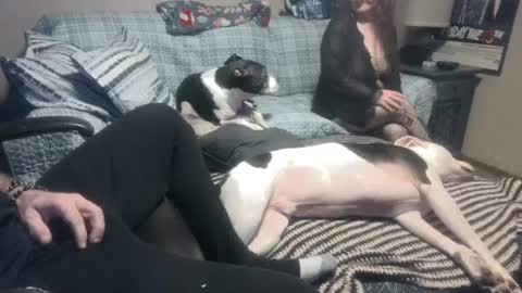 whynotforfun1 online show from 10, 1, 2025