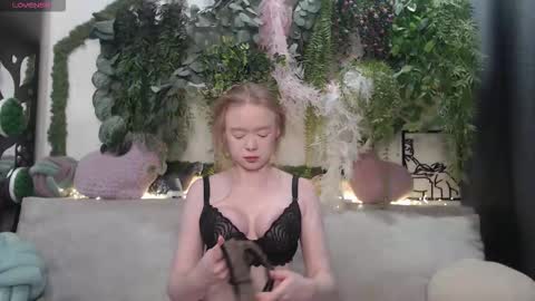 wiagra online show from 25, 10, 2025