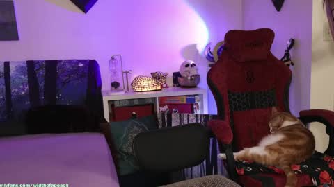 Gretchen  Jimmy online show from 29, 3, 2026