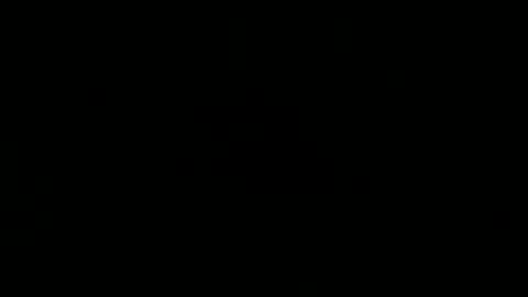 wild lemont online show from 25, 2, 2026