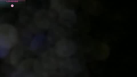 Snapshot of wild_seemi chatting on 17, 11, 2025 seemi online show from 17, 11, 2025