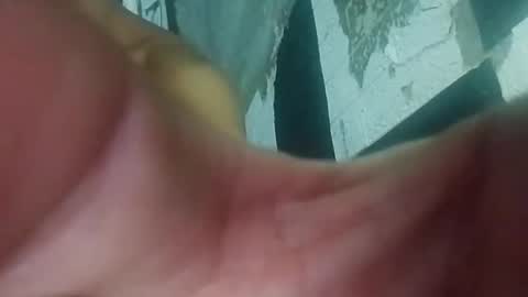 wildasshole123 online show from 29, 11, 2025