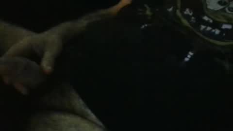 Snapshot of wildealexyz chatting on 28, 9, 2025 WildeAlex online show from 28, 9, 2025