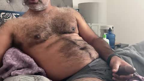 wildhungry online show from 3, 1, 2025