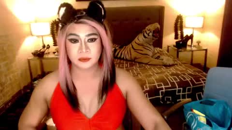 wildtransjhade online show from 6, 1, 2025