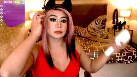 wildtransjhade online show from 11, 1, 2025