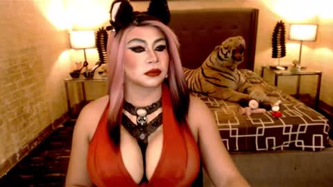 wildtransjhade online show from 18, 1, 2025