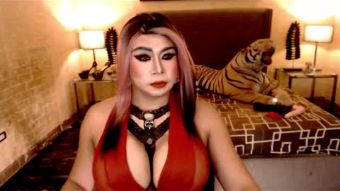 wildtransjhade online show from 19, 1, 2025