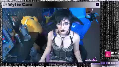 Snapshot of wildwylie chatting on 3, 1, 2025 Wylie Wanderlust online show from 3, 1, 2025