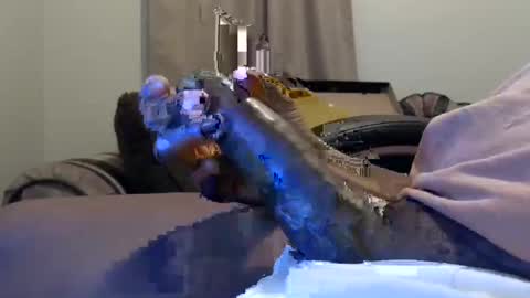 Snapshot of willied1985 chatting on 11, 2, 2025 willy d bbc uncut bigdick edging online show from 11, 2, 2025