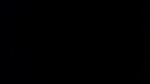 williewants online show from 13, 2, 2026