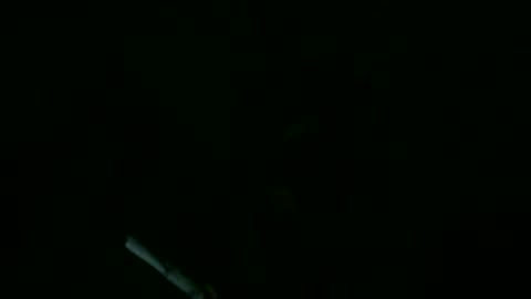 Willhedoher online show from 11, 9, 2025