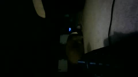 Willhedoher online show from 15, 10, 2025