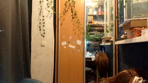 Phoebe online show from 11, 2, 2026