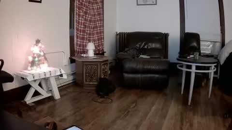 Snapshot of willydogg83 chatting on 16, 12, 2025 willydogg83 online show from 16, 12, 2025