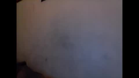 willywinkwer online show from 19, 3, 2026