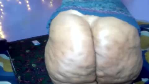 wilmaassylum online show from 13, 1, 2026