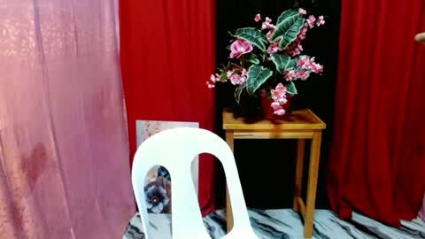 win_boy online show from 22, 6, 2026