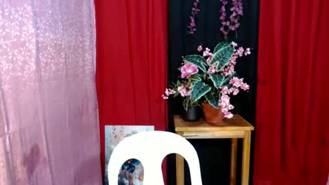win_boy online show from 29, 6, 2026