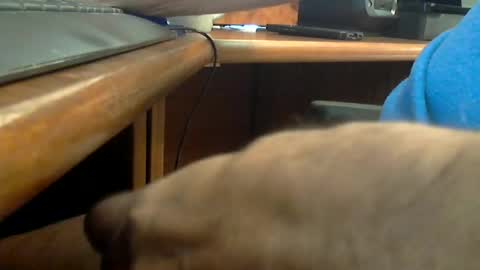 Snapshot of wineman88886 chatting on 20, 6, 2026 Wineman88886 online show from 20, 6, 2026