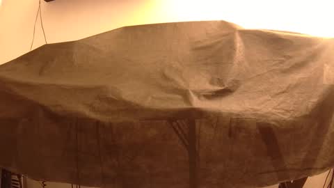 Mater online show from 22, 1, 2025