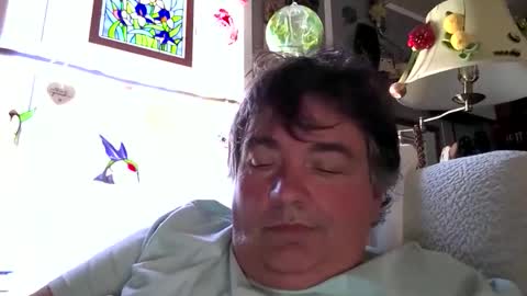 Snapshot of wldlife chatting on 17, 5, 2026 wldlife online show from 17, 5, 2026