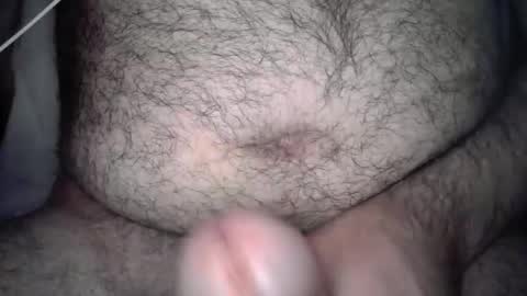 wolphox online show from 11, 11, 2025