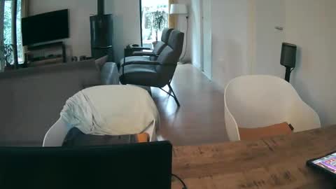 woodwurm and Snoeske online show from 9, 11, 2025