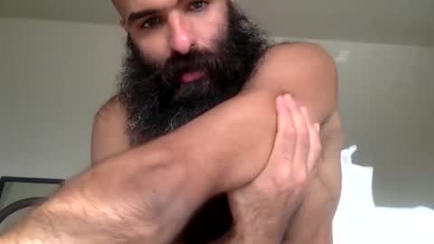 woof_wolf37 online show from 11, 2, 2026