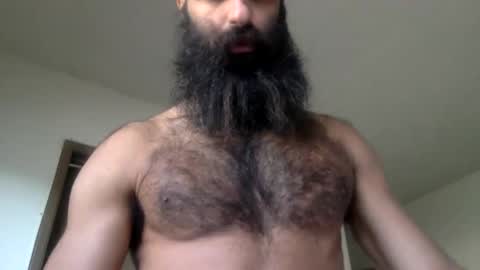 woof_wolf37 online show from 15, 4, 2026