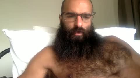 woof_wolf37 online show from 14, 5, 2026