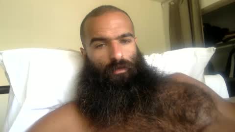 woof_wolf37 online show from 21, 5, 2026