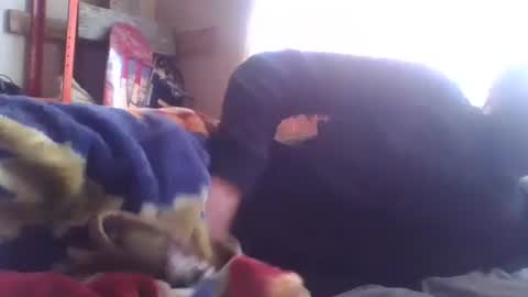 wormaho84 online show from 7, 1, 2025