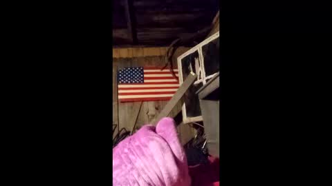 wowsers7 online show from 25, 3, 2026