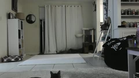 Crystal Lake online show from 26, 12, 2024