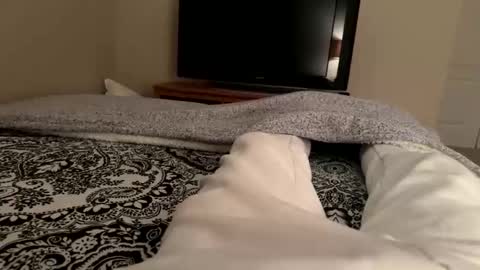 Wsteel66 online show from 24, 2, 2026