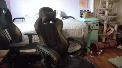 Wyatt online show from 26, 11, 2025