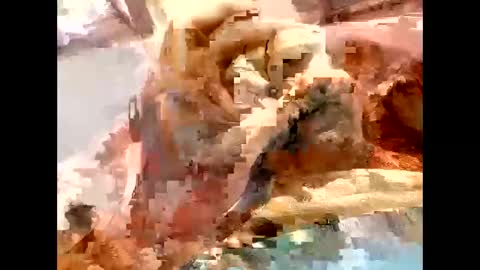 Blk online show from 23, 4, 2026