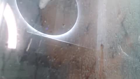 Snapshot of xandressex chatting on 3, 2, 2025 Andres online show from 3, 2, 2025