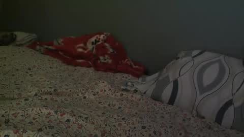 Snapshot of xarrup chatting on 14, 1, 2026 xarrup online show from 14, 1, 2026