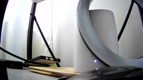 xavicock24 online show from 16, 3, 2026